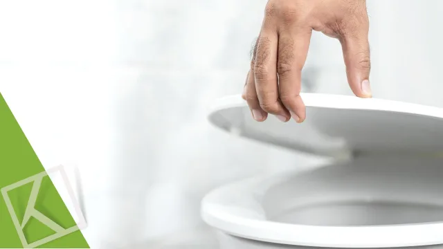 La tazza più controversa della storia: evoluzione del WC nel tempo
