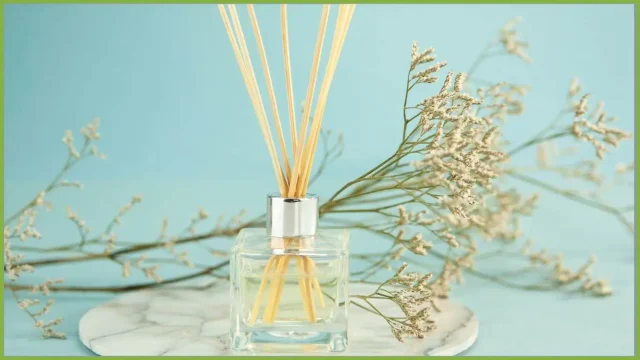 Opzioni per il Bagno con Aromaterapia Guida Completa per la Scelta Migliore